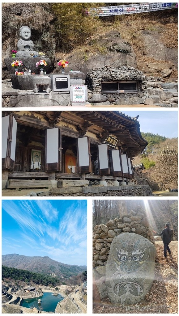 사진