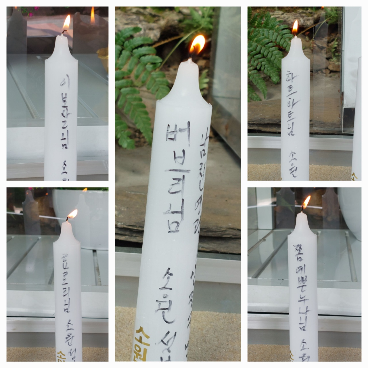 사진