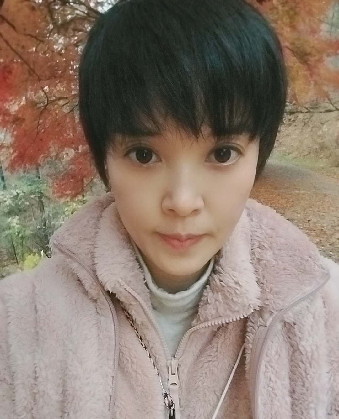 사진